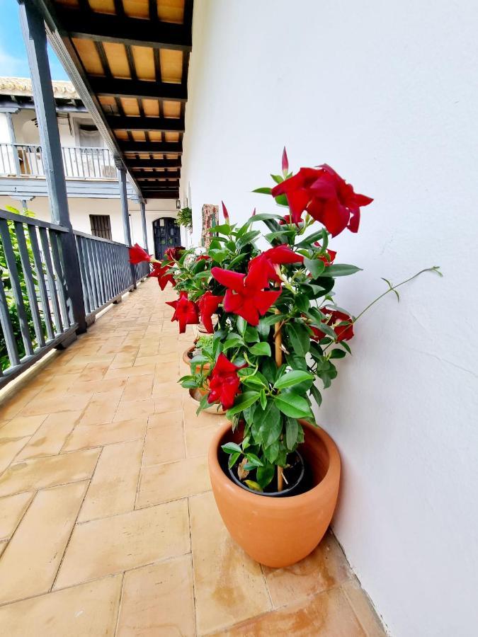 Apartamento Con Patio Sevillano Extérieur photo